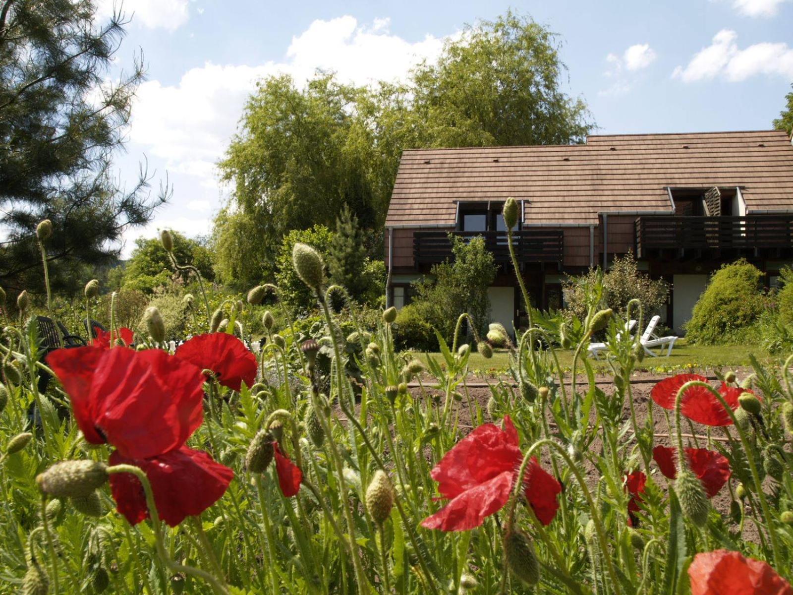 9 Meilleurs Hôtels Familiaux dans le Massif des Vosges