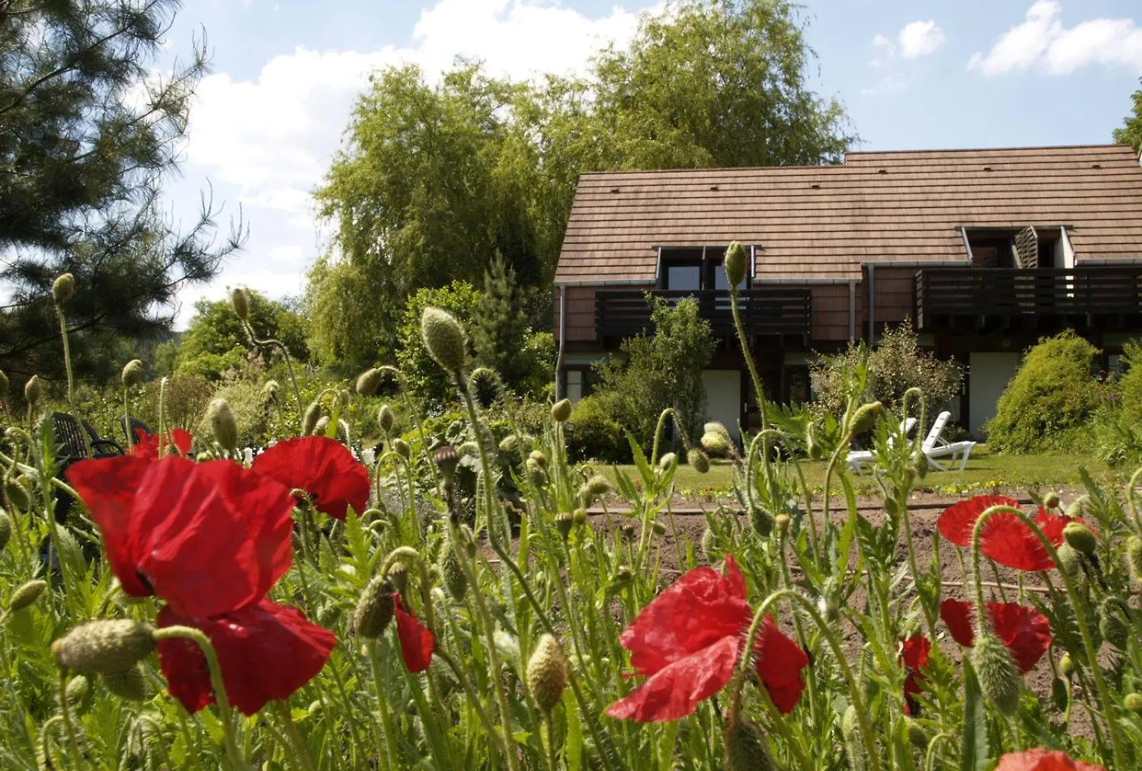 9 Meilleurs Hôtels Familiaux dans le Massif des Vosges